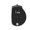 Мышь EXEGATE SH-9028 COLOR BOX EX264101RUS